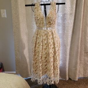 Elegant Cream Lace Dress